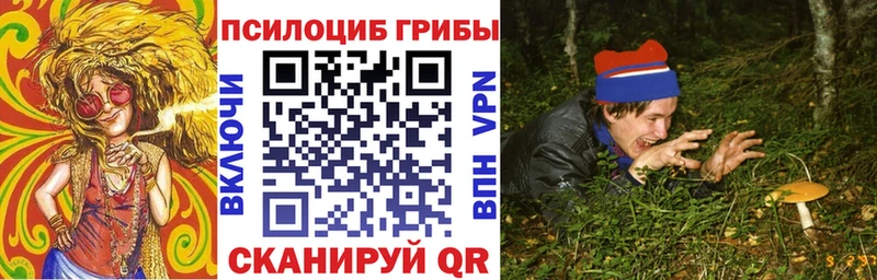 Галлюциногенные грибы ЛСД  закладка  Заринск 
